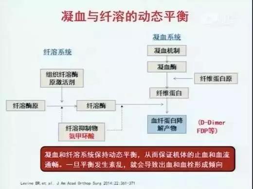 水蛭素，新型冠狀病毒。肺炎