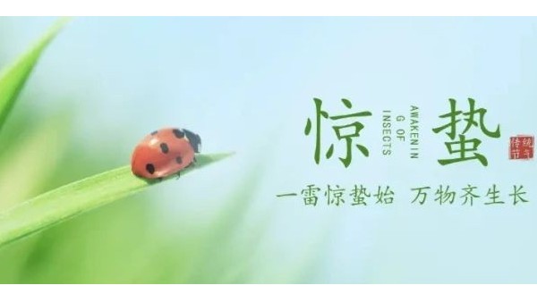 驚蟄養(yǎng)生全攻略：四大原則教您如何預(yù)防春季疾病