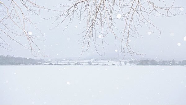 大雪節(jié)氣做好這4件事，安然過一冬