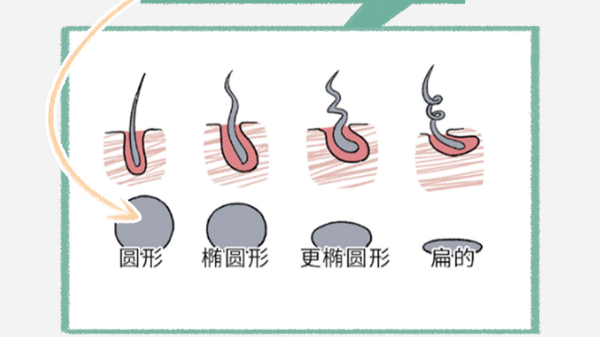 頭發(fā)軟VS頭發(fā)硬，到底哪個(gè)更好？答案讓人大吃一驚！