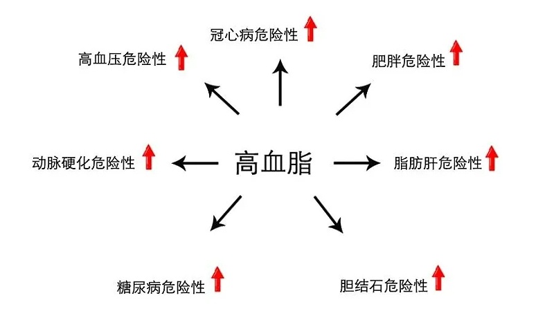 水蛭素、血脂高、血脂異常