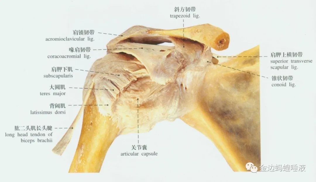 真實案例 | 腕關(guān)節(jié)囊積液，發(fā)炎腫脹，疼痛難忍，真就對它沒辦法嗎？